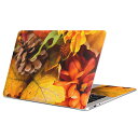 MacBook 用 スキンシール マックブック 13インチ ~ 16インチ MacBook Pro / MacBook Air 各種対応 ノートパソコン カバー ケース フィルム ステッカー アクセサリー 保護 023260 葉っぱ 植物 秋