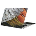 MacBook p XLV[ }bNubN 13C` ` 16C` MacBook Pro / MacBook Air eΉ m[gp\R Jo[ P[X tB XebJ[ ANZT[ ی 023273 H@@