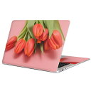 MacBook 用 スキンシール マックブック 13インチ ~ 16インチ MacBook Pro / MacBook Air 各種対応 ノートパソコン カバー ケース フィルム ステッカー アクセサリー 保護 023309 花 フラワー チューリップ 写真