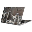 MacBook 用 スキンシール マックブック 13インチ ~ 16インチ MacBook Pro / MacBook Air 各種対応 ノートパソコン カバー ケース フィルム ステッカー アクセサリー 保護 023560 ミーアキャット 動物 写真
