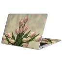 MacBook 用 スキンシール マックブック 13インチ ~ 16インチ MacBook Pro / MacBook Air 各種対応 ノートパソコン カバー ケース フィルム ステッカー アクセサリー 保護 023912 花 フラワー チューリップ