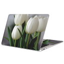 MacBook 用 スキンシール マックブック 13インチ ~ 16インチ MacBook Pro / MacBook Air 各種対応 ノートパソコン カバー ケース フィルム ステッカー アクセサリー 保護 023916 花 フラワー チューリップ