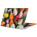 MacBook 用 スキンシール マックブック 13インチ ~ 16インチ MacBook Pro / MacBook Air 各種対応 ノートパソコン カバー ケース フィルム ステッカー アクセサリー 保護 023917 花 フラワー チューリップ