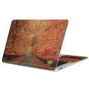 MacBook 用 スキンシール マックブック 13インチ ~ 16インチ MacBook Pro / MacBook Air 各種対応 ノートパソコン カバー ケース フィルム ステッカー アクセサリー 保護 005919 写真 秋 並木道