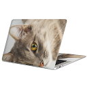 MacBook 用 スキンシール マックブック 13インチ 〜 16インチ MacBook Pro / MacBook Air 各種対応 ノートパソコン カバー ケース フィルム ステッカー アクセサリー 保護 006477 アニマル 写真 動物 ねこ