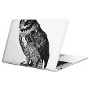 MacBook 用 スキンシール マックブック 13インチ ~ 16インチ MacBook Pro / MacBook Air 各種対応 ノートパソコン カバー ケース フィルム ステッカー アクセサリー 保護 017483 ハロウィン ホラー リアル フクロウ 鳥