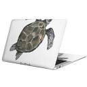 MacBook p XLV[ }bNubN 13C` ` 16C` MacBook Pro / MacBook Air eΉ m[gp\R Jo[ P[X tB XebJ[ ANZT[ ی 019731 fUC C̐ CK chelonioidea