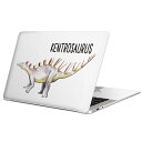 MacBook p XLV[ }bNubN 13C` ` 16C` MacBook Pro / MacBook Air eΉ m[gp\R Jo[ P[X tB XebJ[ ANZT[ ی 019817   Kentrosaurus PgTEX