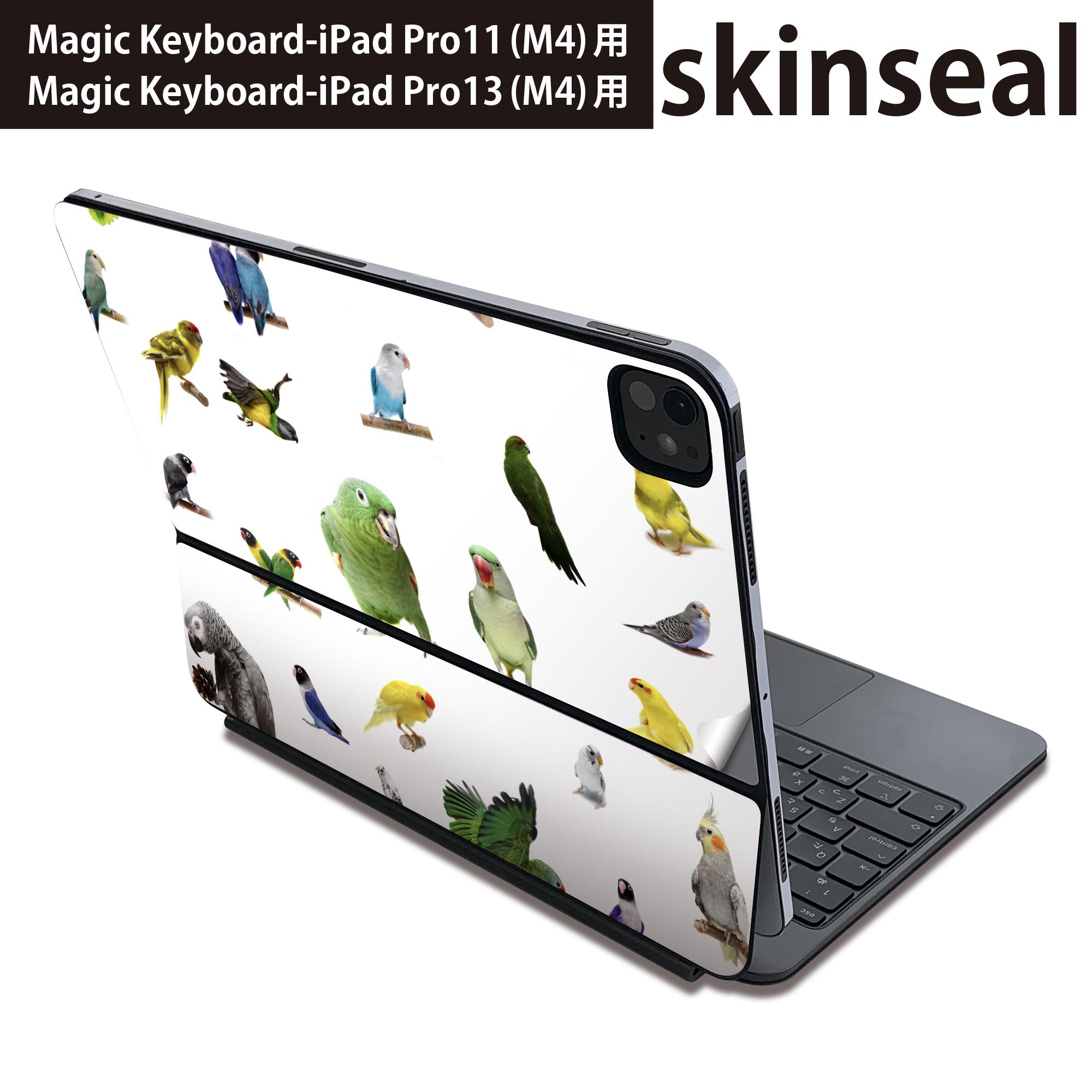 マジックキーボード 用 スキンシール 11インチ 13インチ iPad Pro11(M4) iPad Pro13(M4)用 2024年発売 第5世代 Magic Keyboard 対応 前面 背面 保護シール 人気 鳥 動物 写真 003163
