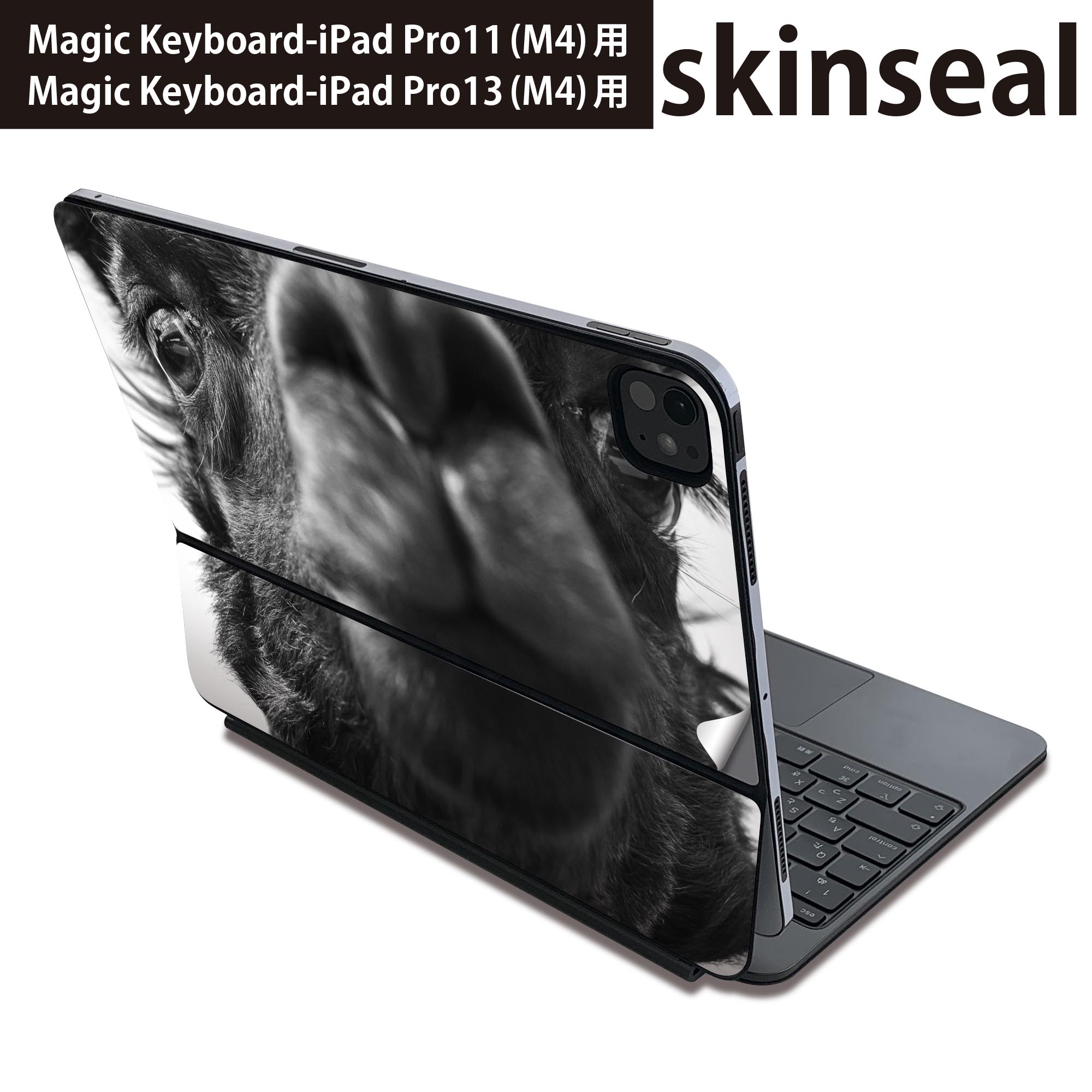 マジックキーボード 用 スキンシール 11インチ 13インチ iPad Pro11(M4) iPad Pro13(M4)用 2024年発売 第5世代 Magic Keyboard 対応 前面 背面 保護シール 人気 写真　ラクダ 022854