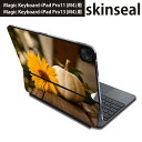 マジックキーボード 用 スキンシール 11インチ 13インチ iPad Pro11(M4) iPad Pro13(M4)用 2024年発売 第5世代 Magic Keyboard 対応 前面 背面 保護シール 人気 かぼちゃ 秋 花 025807