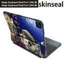 マジックキーボード 用 スキンシール 11インチ 13インチ iPad Pro11(M4) iPad Pro13(M4)用 2024年発売 第5世代 Magic Keyboard 対応 前面 背面 保護シール 人気 海 魚 珊瑚 011673(2)