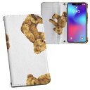 iPhone11 Pro Max 6.5インチ 専用 iphone11pronax アイフォン softbank docomo au 両面プリント 裏表 内側 内面 スマホ カバー レザー ケース 手帳タイプ フリップ ダイアリー 二つ折り 革 フルデザイン 008738 アニマル テディベア イラスト 模様