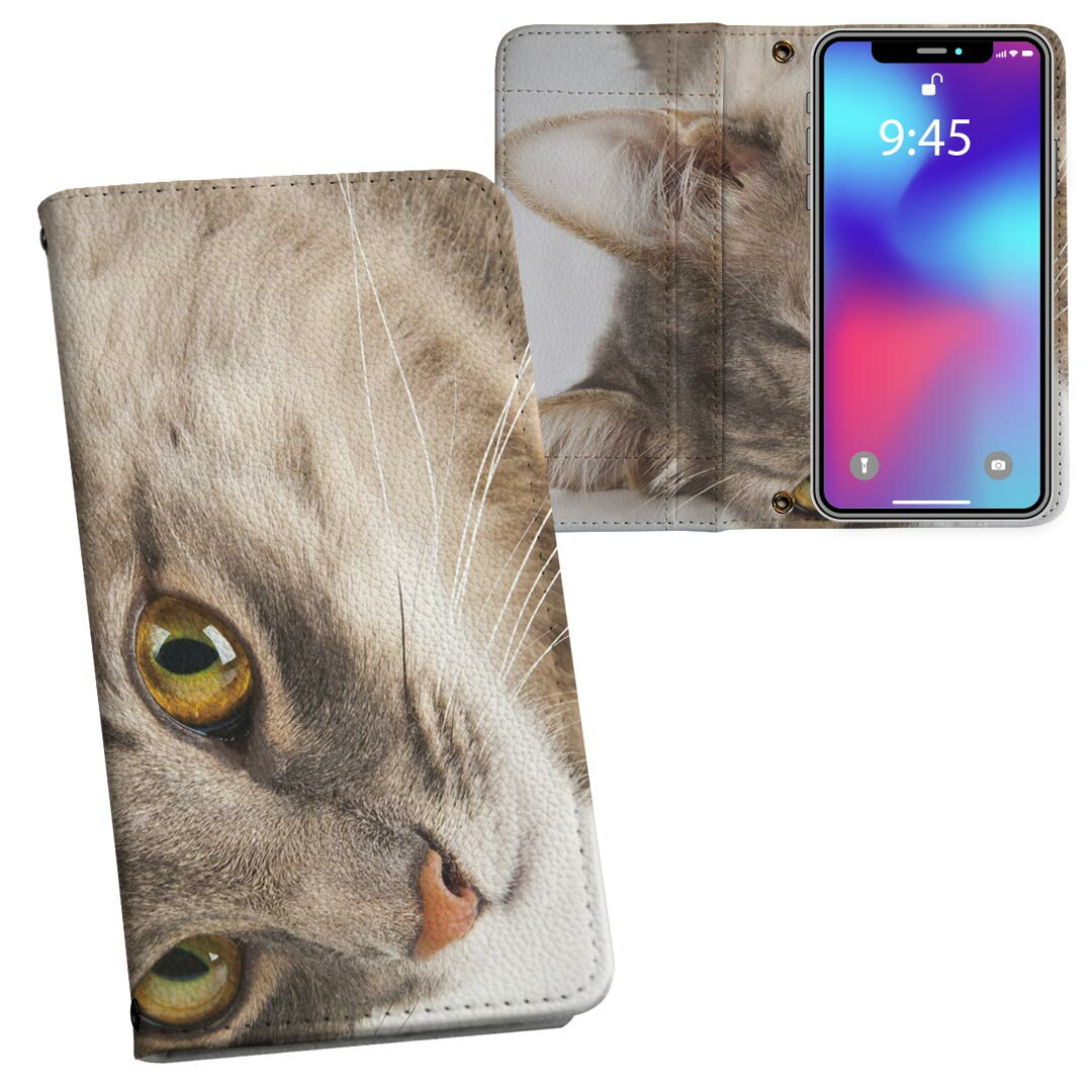 iPhone11 6.1インチ 専用 iphone 11 アイフォン softbank docomo au 両面プリント 裏表 内側 内面 スマホ カバー レザー ケース 手帳タイプ フリップ ダイアリー 二つ折り 革 フルデザイン 006477 写真・風景 アニマル 写真　動物　ねこ