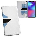 Galaxy A54 5G 用 手帳型 内側プリント ケース カバー SC-53D SCG21 共通対応 ケース カバー 手帳型 sc53d マグネット式 ピタッと閉まる レザーケース カード収納 ポケット 018781 bostwana ボツワナ(2)