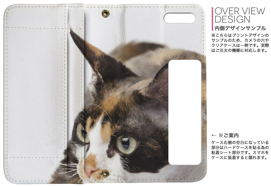 iPhone11 Pro 5.8インチ 専用 iphone11pro アイフォン softbank docomo au 両面プ...