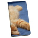 SCV32 GALAXY A8 ギャラクシー A8 au エーユー 手帳型 レザー 手帳タイプ フリップ ダイアリー 二つ折り 革 002759 猫 動物 写真(2)