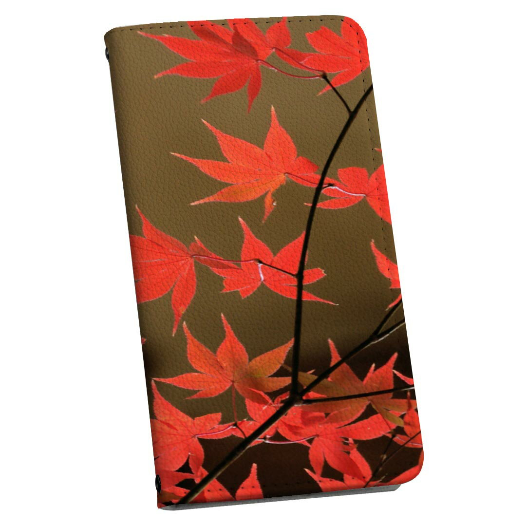 Galaxy Note20 Ultra 5G SC-53A 専用 ケース カバー 手帳型 sc53a マグネット式 ピタッと閉まる レザーケース カード収納 ポケット igcase 000139 秋　もみじ　風景　紅葉