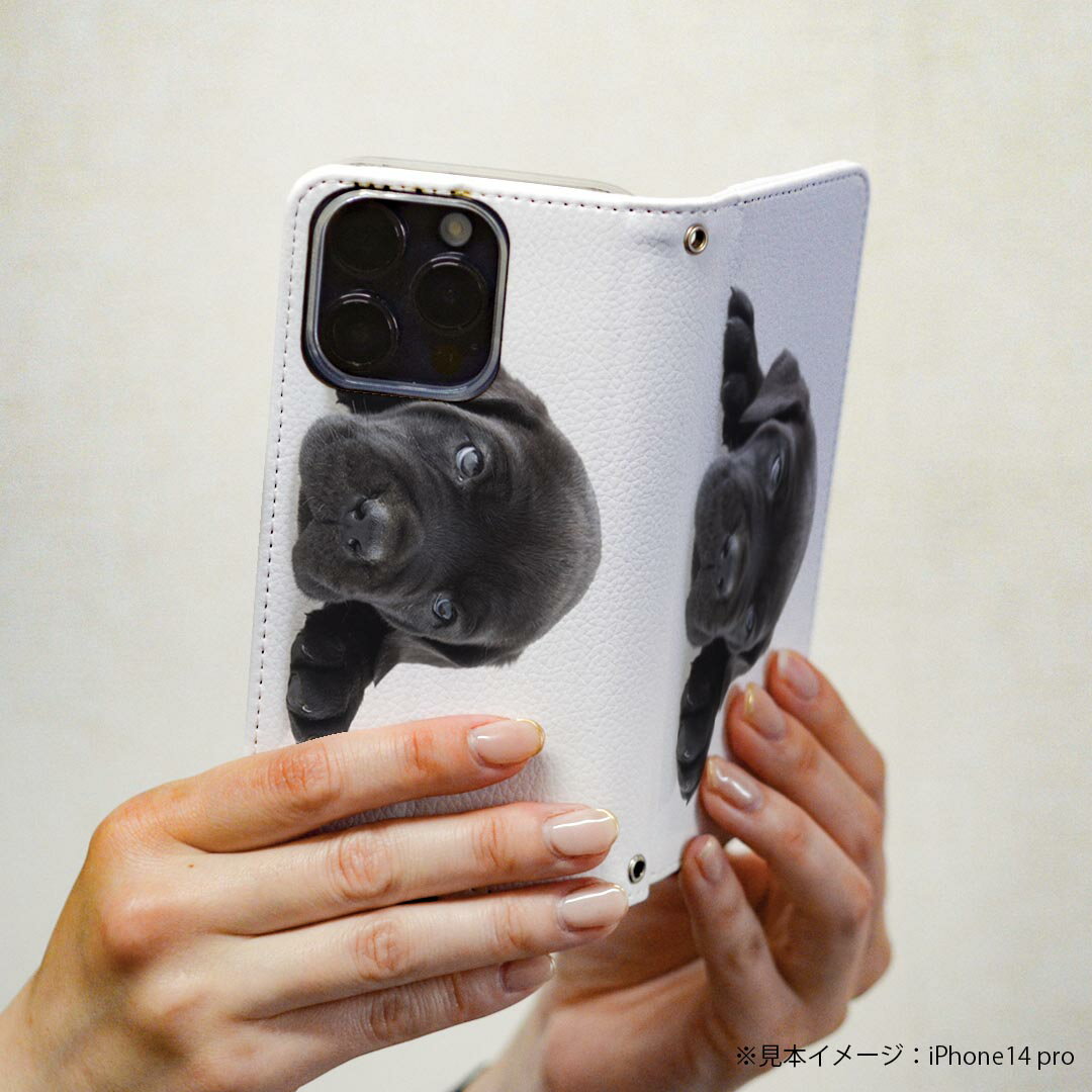 Arrows We F-51B FCG01 用 スマホカバー f51b ケース カバー 手帳型 マグネット式 ピタッと閉まる レザーケース カード収納 ポケット 000127 犬 黒 フレンチブルドック ダックスフント