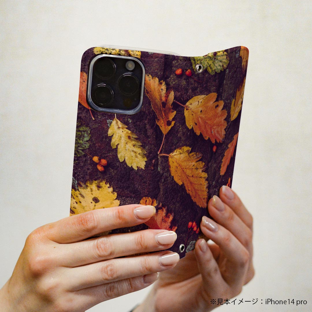 Galaxy S9 SC-02K ギャラクシー 専用 ケース カバー 手帳型 マグネット式 ピタッと閉まる レザーケース sc02k カード収納 ポケット igcase 022908 秋　葉っぱ　紅葉