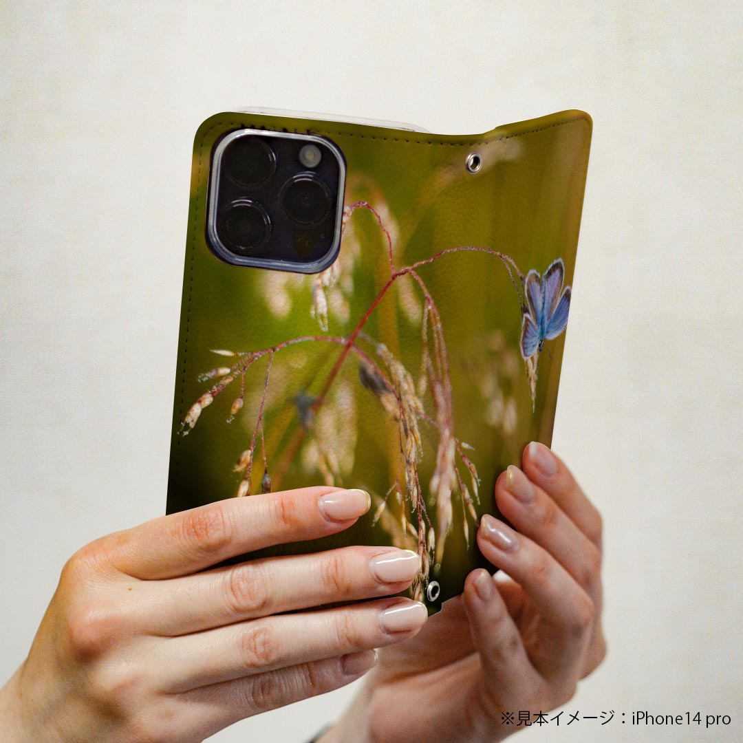 Galaxy S20 5G SCG01 ギャラクシー 専用 ケース カバー 手帳型 マグネット式 ピタッと閉まる レザーケース sc02k カード収納 ポケット igcase 023045 蝶々　自然　景色