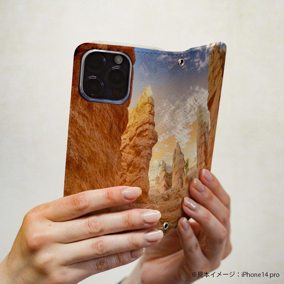 SH-01L AQUOS sense2 アクオス センスツー 専用 ケース カバー 手帳型 マグネット式 ピタッと閉まる レザーケース docomo ドコモ sh01l カード収納 ポケット igcase 023068 岩　自然　景色