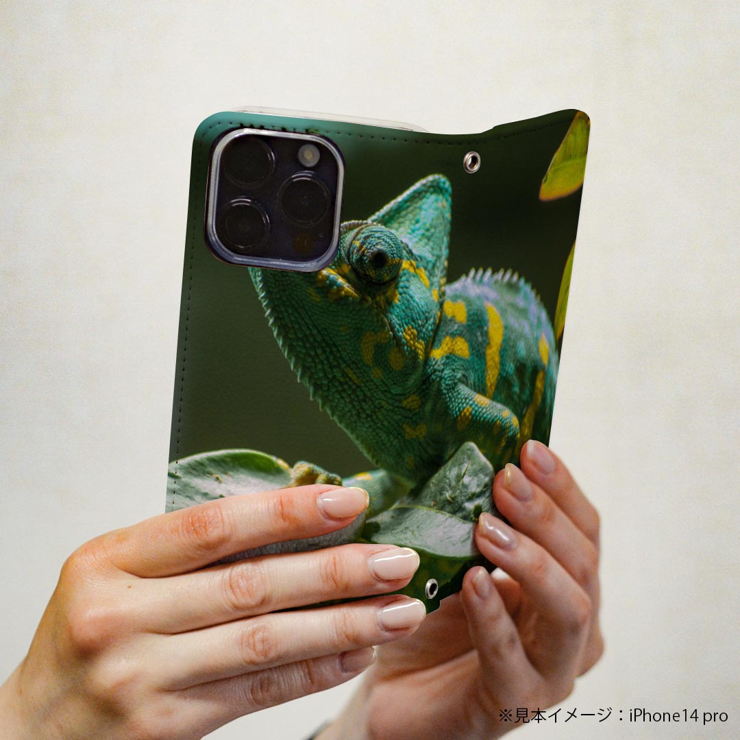 Xperia 1 V SO-51D SOG10 XQ-DQ44 共通対応 ケース カバー so51d 手帳型 マグネット式 ピタッと閉まる レザーケース カード収納 ポケット igcase 023102 イグアナ　写真　生き物