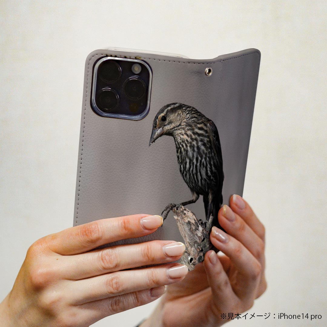 AQUOS R8 用 手帳型 ケース カバー SH-52D 対応 ケース カバー 手帳型 sh52d マグネット式 ピタッと閉まる レザーケース カード収納 ポケット 023718 鳥　動物　アニマル