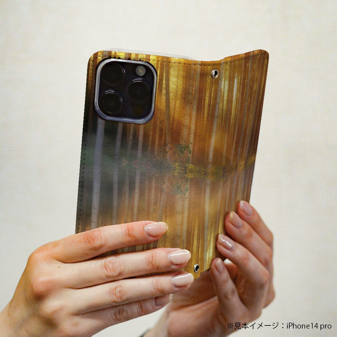 arrows NX F-01K アローズ NX 専用 ケース カバー 手帳型 マグネット式 ピタッと閉まる レザーケース f01k カード収納 ポケット igcase 025679 森林　自然　湖