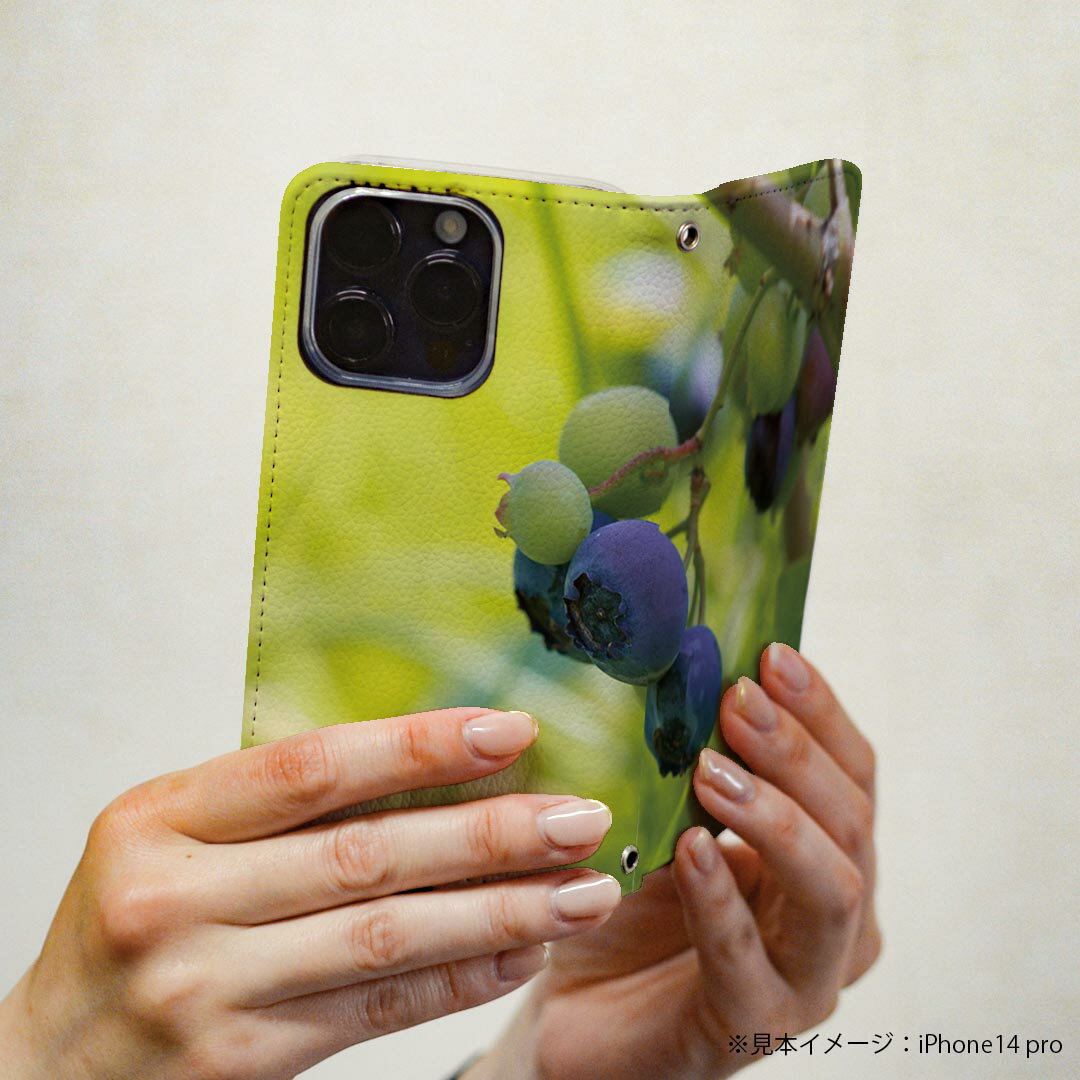 Galaxy A51 5G SC-54A ギャラクシー 専用 ケース カバー 手帳型 マグネット式 ピタッと閉まる レザーケース sc54a カード収納 ポケット igcase 026025 果物　フルーツ　ブルーベリー