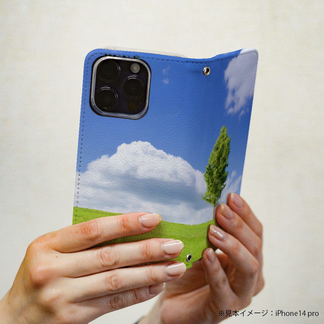 iPhoneX iPhone 10 アイフォーン エックス　テン 専用 ケース カバー 手帳型 マグネット式 ピタッと閉まる レザーケース iphone x カード収納 ポケット igcase 005883 写真　空　草原