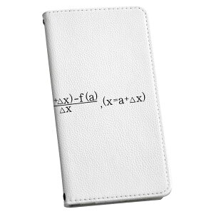 iPhoneX iPhone 10 アイフォーン エックス テン 専用 ケース カバー 手帳型 マグネット式 ピタッと閉まる レザーケース iphone x カード収納 ポケット igcase 017715 方程式 微分 積分 ニュートン 方程式