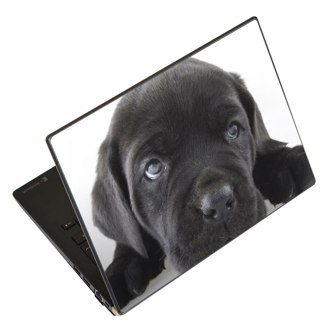 ノートパソコン スキンシール 17イ�