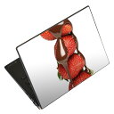 ノートパソコン スキンシール 13.3インチまで対応 汎用ステッカー 2枚セット LAVIE用 FMV用 LIFEBOOK用 Dynabook用 Lenovo用 Thinkbook用 IdeaPad用 HP用 Pavillon用 ENVY用 Elite用 Dell用 Vostro用 Inspiron用 VAIO用 001061 チョコレート イチゴ