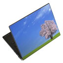 ノートパソコン スキンシール 13.3インチまで対応 汎用ステッカー 2枚セット LAVIE用 FMV用 LIFEBOOK用 Dynabook用 Lenovo用 Thinkbook用 IdeaPad用 HP用 Pavillon用 ENVY用 Elite用 Dell用 Vostro用 Inspiron用 VAIO用 002466 景色 風景 桜(2)