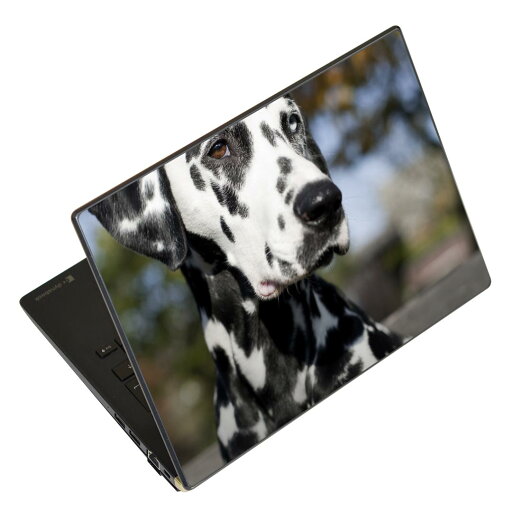 ノートパソコン スキンシール 13.3インチまで対応 汎用ステッカー 2枚セット LAVIE用 FMV用 LIFEBOOK用 Dynabook用 Lenovo用 Thinkbook用 IdeaPad用 HP用 Pavillon用 ENVY用 Elite用 Dell用 Vostro用 Inspiron用 VAIO用 002587 犬 動物 写真 ノートパソコン スキンシール 13.3インチまで対応 汎用ステッカー 2枚セット LAVIE用 FMV用 LIFEBOOK用 Dynabook用 Lenovo用 Thinkbook用 IdeaPad用 HP用 Pavillon用 ENVY用 Elite用 Dell用 Vostro用 Inspiron用 VAIO用 002587 犬 動物 写真