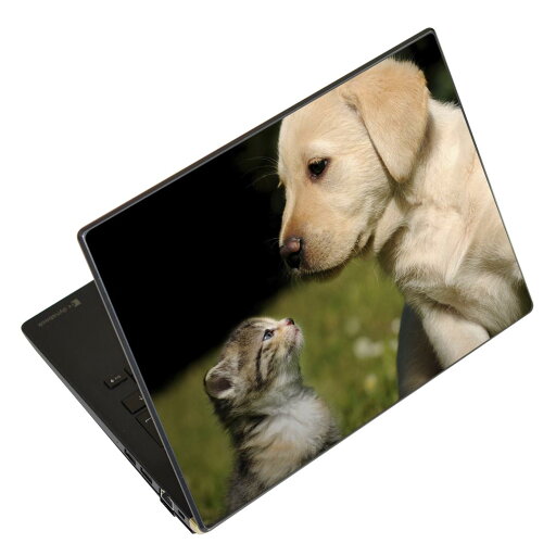 ノートパソコン スキンシール 13.3インチまで対応 汎用ステッカー 2枚セット LAVIE用 FMV用 LIFEBOOK用 Dynabook用 Lenovo用 Thinkbook用 IdeaPad用 HP用 Pavillon用 ENVY用 Elite用 Dell用 Vostro用 Inspiron用 VAIO用 002794 犬 猫 動物 写真 ノートパソコン スキンシール 13.3インチまで対応 汎用ステッカー 2枚セット LAVIE用 FMV用 LIFEBOOK用 Dynabook用 Lenovo用 Thinkbook用 IdeaPad用 HP用 Pavillon用 ENVY用 Elite用 Dell用 Vostro用 Inspiron用 VAIO用 002794 犬 猫 動物 写真