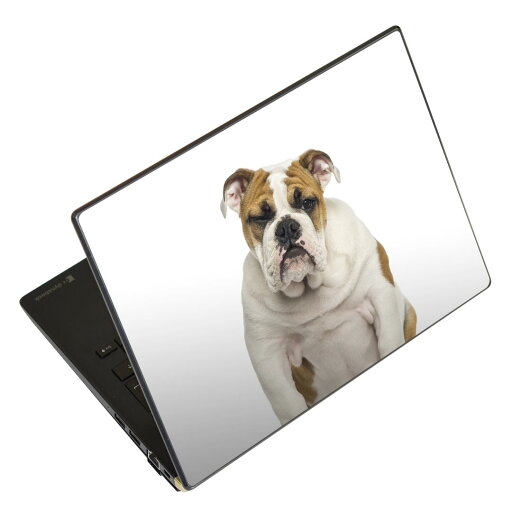 ノートパソコン スキンシール 17インチまで対応 汎用ステッカー 2枚セット LAVIE用 FMV用 LIFEBOOK用 Dynabook用 Lenovo用 Thinkbook用 IdeaPad用 HP用 Pavillon用 ENVY用 Elite用 Dell用 Vostro用 Inspiron用 VAIO用 002883 犬 動物 写真 ノートパソコン スキンシール 17インチまで対応 汎用ステッカー 2枚セット LAVIE用 FMV用 LIFEBOOK用 Dynabook用 Lenovo用 Thinkbook用 IdeaPad用 HP用 Pavillon用 ENVY用 Elite用 Dell用 Vostro用 Inspiron用 VAIO用 002883 犬 動物 写真