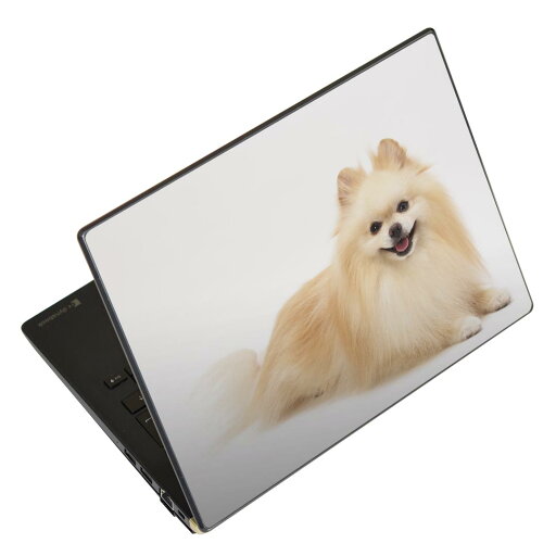 ノートパソコン スキンシール 13.3インチまで対応 汎用ステッカー 2枚セット LAVIE用 FMV用 LIFEBOOK用 Dynabook用 Lenovo用 Thinkbook用 IdeaPad用 HP用 Pavillon用 ENVY用 Elite用 Dell用 Vostro用 Inspiron用 VAIO用 002911 犬 動物 写真 ノートパソコン スキンシール 13.3インチまで対応 汎用ステッカー 2枚セット LAVIE用 FMV用 LIFEBOOK用 Dynabook用 Lenovo用 Thinkbook用 IdeaPad用 HP用 Pavillon用 ENVY用 Elite用 Dell用 Vostro用 Inspiron用 VAIO用 002911 犬 動物 写真
