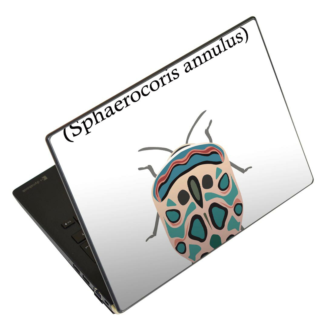 ノートパソコン スキンシール 13.3インチまで対応 汎用ステッカー 2枚セット LAVIE用 FMV用 LIFEBOOK用 Dynabook用 Lenovo用 Thinkbook用 IdeaPad用 HP用 Pavillon用 ENVY用 Elite用 Dell用 Vostro用 Inspiron用 VAIO用 020023 虫 虫 picasso bug ピカソバグ