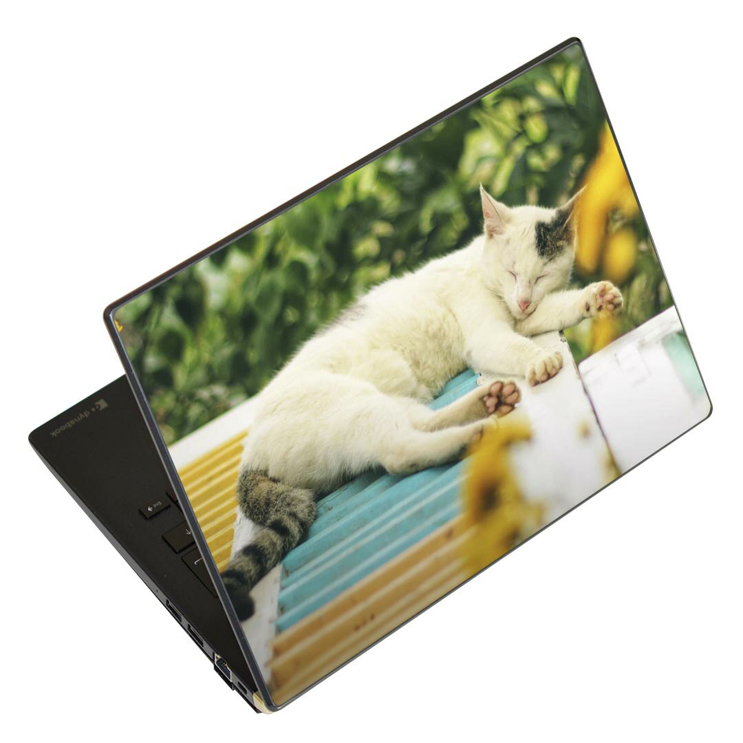 ノートパソコン スキンシール 13.3インチまで対応 汎用ステッカー 2枚セット LAVIE用 FMV用 LIFEBOOK用 Dynabook用 Lenovo用 Thinkbook用 IdeaPad用 HP用 Pavillon用 ENVY用 Elite用 Dell用 Vostro用 Inspiron用 VAIO用 023095 猫 ねこ 動物 写真