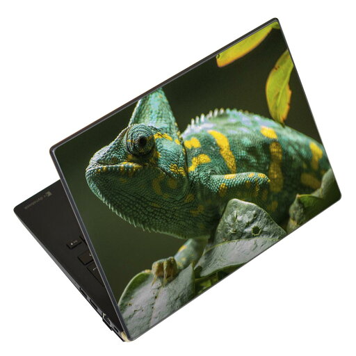 ノートパソコン スキンシール 13.3インチまで対応 汎用ステッカー 2枚セット LAVIE用 FMV用 LIFEBOOK用 Dynabook用 Lenovo用 Thinkbook用 IdeaPad用 HP用 Pavillon用 ENVY用 Elite用 Dell用 Vostro用 Inspiron用 VAIO用 023102 イグアナ 写真 生き物 ノートパソコン スキンシール 13.3インチまで対応 汎用ステッカー 2枚セット LAVIE用 FMV用 LIFEBOOK用 Dynabook用 Lenovo用 Thinkbook用 IdeaPad用 HP用 Pavillon用 ENVY用 Elite用 Dell用 Vostro用 Inspiron用 VAIO用 023102 イグアナ 写真 生き物