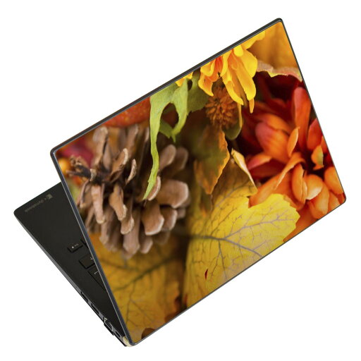 ノートパソコン スキンシール 13.3インチまで対応 汎用ステッカー 2枚セット LAVIE用 FMV用 LIFEBOOK用 Dynabook用 Lenovo用 Thinkbook用 IdeaPad用 HP用 Pavillon用 ENVY用 Elite用 Dell用 Vostro用 Inspiron用 VAIO用 023260 葉っぱ 植物 秋 ノートパソコン スキンシール 13.3インチまで対応 汎用ステッカー 2枚セット LAVIE用 FMV用 LIFEBOOK用 Dynabook用 Lenovo用 Thinkbook用 IdeaPad用 HP用 Pavillon用 ENVY用 Elite用 Dell用 Vostro用 Inspiron用 VAIO用 023260 葉っぱ 植物 秋