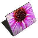 ノートパソコン スキンシール 17インチまで対応 汎用ステッカー 2枚セット LAVIE用 FMV用 LIFEBOOK用 Dynabook用 Lenovo用 Thinkbook用 IdeaPad用 HP用 Pavillon用 ENVY用 Elite用 Dell用 Vostro用 Inspiron用 VAIO用 023298 花 フラワー(2)