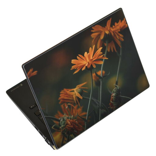 ノートパソコン スキンシール 13.3インチまで対応 汎用ステッカー 2枚セット LAVIE用 FMV用 LIFEBOOK用 Dynabook用 Lenovo用 Thinkbook用 IdeaPad用 HP用 Pavillon用 ENVY用 Elite用 Dell用 Vostro用 Inspiron用 VAIO用 023698 花 フラワー ノートパソコン スキンシール 13.3インチまで対応 汎用ステッカー 2枚セット LAVIE用 FMV用 LIFEBOOK用 Dynabook用 Lenovo用 Thinkbook用 IdeaPad用 HP用 Pavillon用 ENVY用 Elite用 Dell用 Vostro用 Inspiron用 VAIO用 023698 花 フラワー