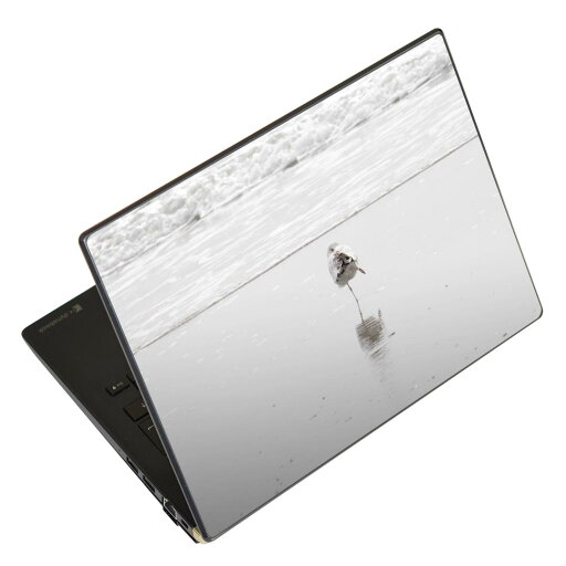 ノートパソコン スキンシール 17インチまで対応 汎用ステッカー 2枚セット LAVIE用 FMV用 LIFEBOOK用 Dynabook用 Lenovo用 Thinkbook用 IdeaPad用 HP用 Pavillon用 ENVY用 Elite用 Dell用 Vostro用 Inspiron用 VAIO用 023779 鳥 動物 海 ノートパソコン スキンシール 17インチまで対応 汎用ステッカー 2枚セット LAVIE用 FMV用 LIFEBOOK用 Dynabook用 Lenovo用 Thinkbook用 IdeaPad用 HP用 Pavillon用 ENVY用 Elite用 Dell用 Vostro用 Inspiron用 VAIO用 023779 鳥 動物 海