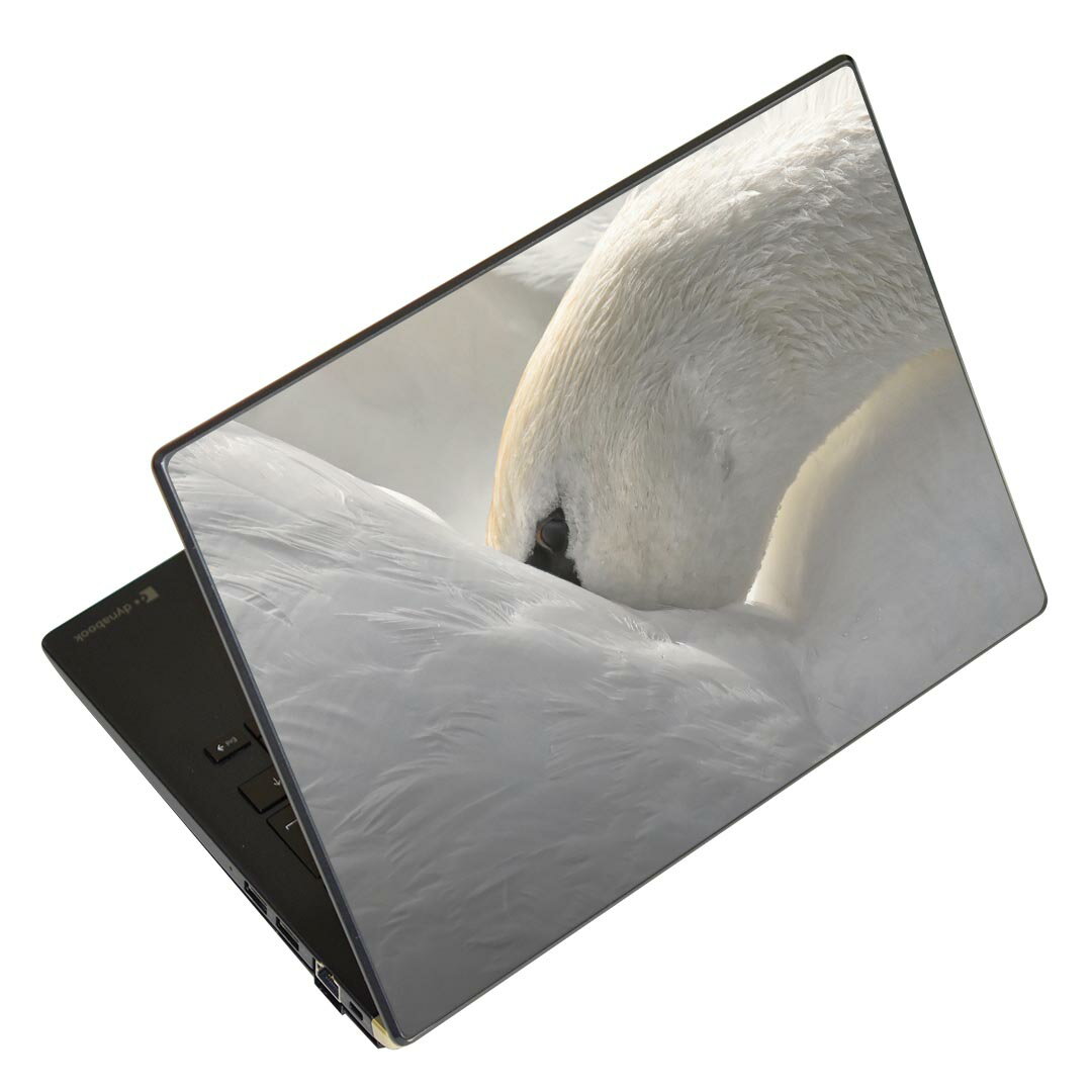 ノートパソコン スキンシール 17インチまで対応 汎用ステッ