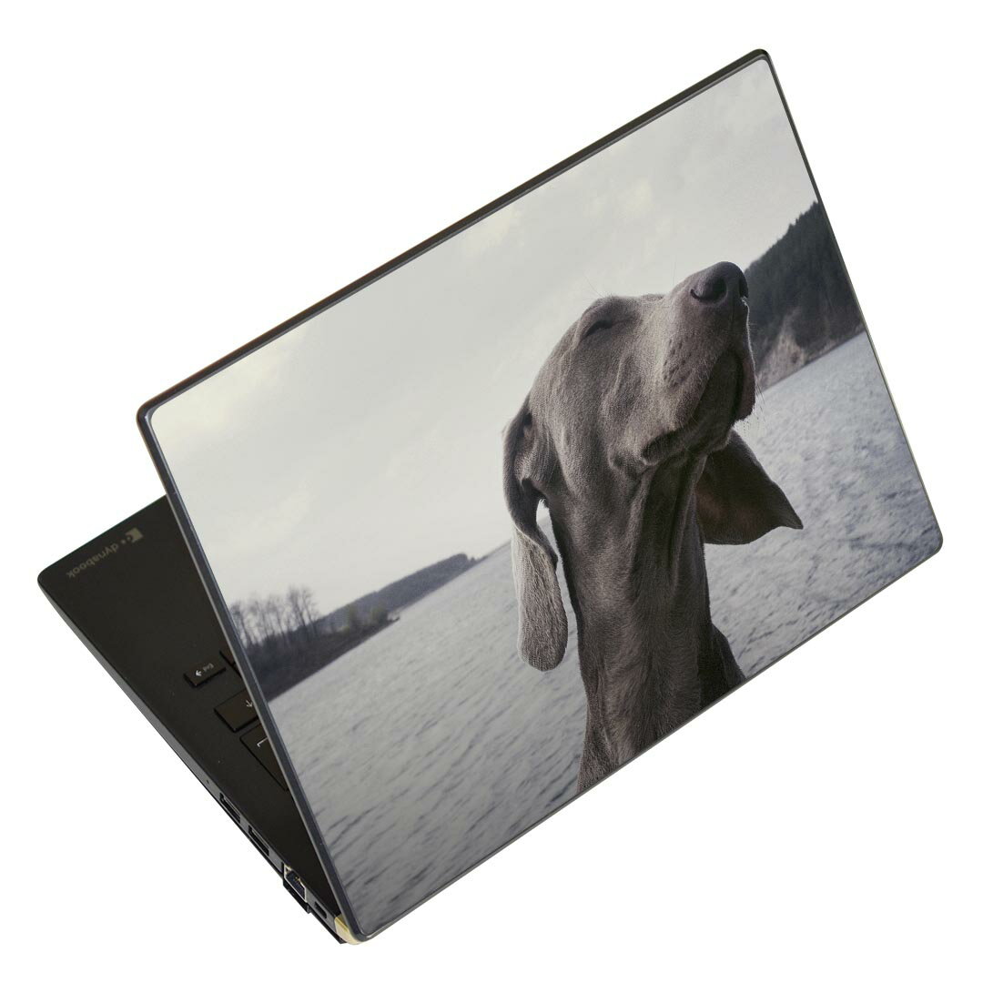 ノートパソコン スキンシール 17インチまで対応 汎用ステッカー 2枚セット LAVIE用 FMV用 LIFEBOOK用 Dynabook用 Lenovo用 Thinkbook用 IdeaPad用 HP用 Pavillon用 ENVY用 Elite用 Dell用 Vostro用 Inspiron用 VAIO用 023964 犬 動物 写真