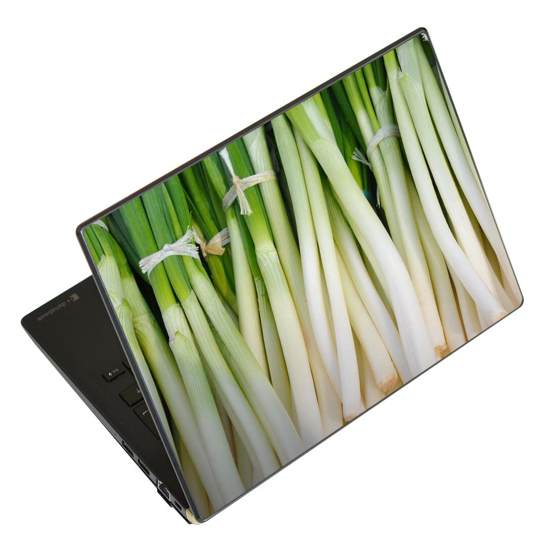 ノートパソコン スキンシール 17インチまで対応 汎用ステッカー 2枚セット LAVIE用 FMV用 LIFEBOOK用 Dynabook用 Lenovo用 Thinkbook用 IdeaPad用 HP用 Pavillon用 ENVY用 Elite用 Dell用 Vostro用 Inspiron用 VAIO用 025602 野菜　ネギ　写真