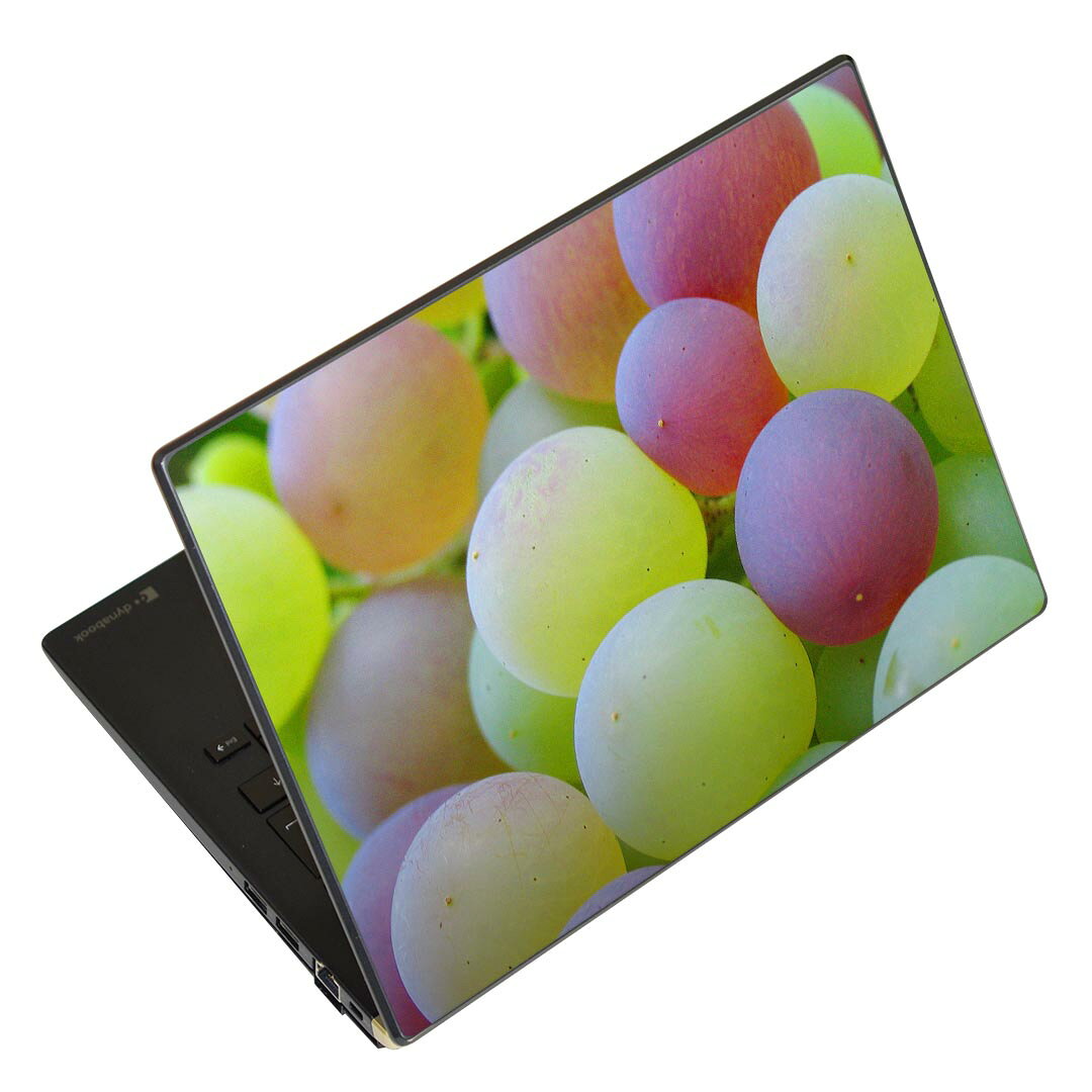 ノートパソコン スキンシール 17インチまで対応 汎用ステッカー 2枚セット LAVIE用 FMV用 LIFEBOOK用 Dynabook用 Lenovo用 Thinkbook用 IdeaPad用 HP用 Pavillon用 ENVY用 Elite用 Dell用 Vostro用 Inspiron用 VAIO用 025823 フルーツ ぶどう 果物